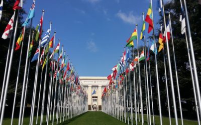 UN Treaty Wirtschaft und Menschenrechte