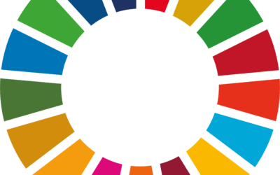 Zivilgesellschaftliche Forderungen zur Halbzeit der SDGs