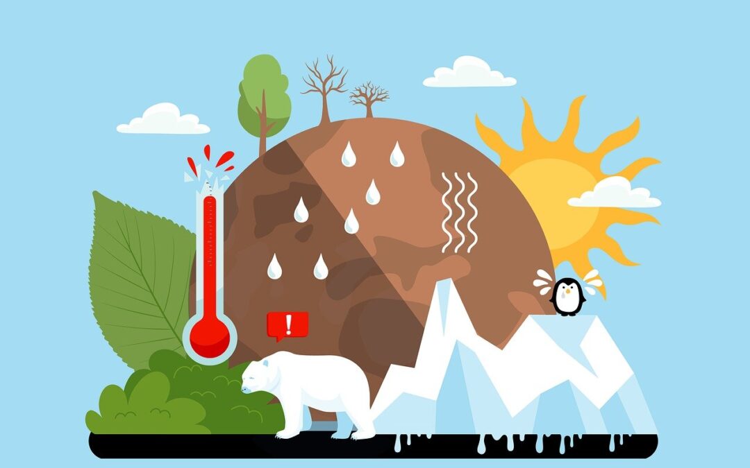 Weltklimakonferenz COP29