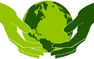 Public Climate School: Mehr Aufmerksamkeit für die Klimakrise